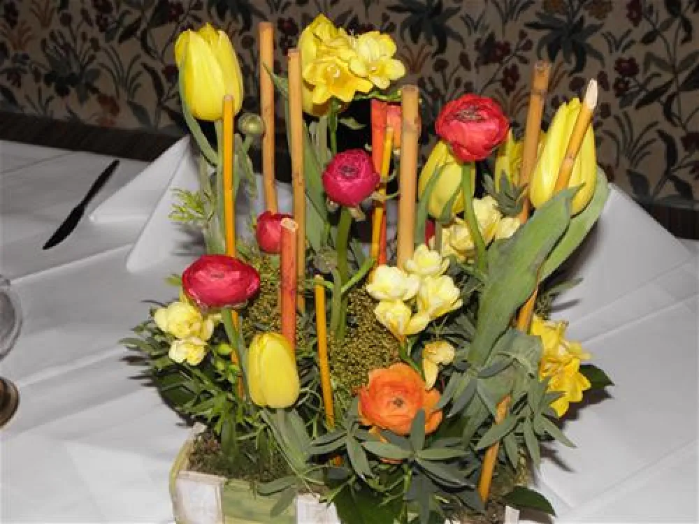 Nationalpark-Camping Grossglockner