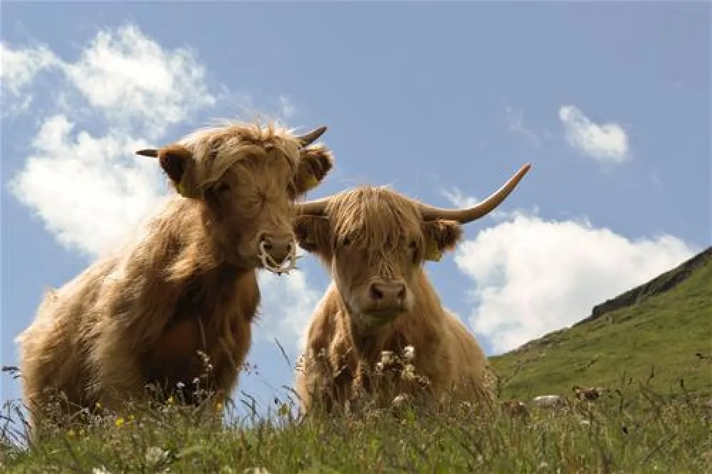Nationalpark-Camping Grossglockner