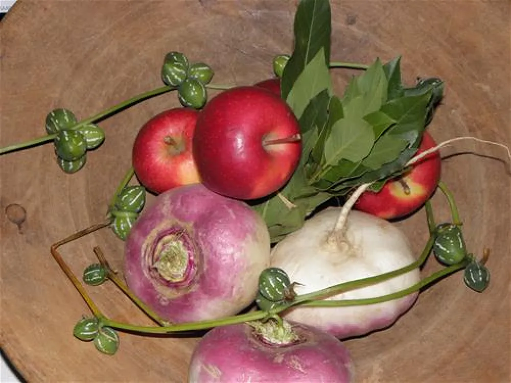 Nationalpark-Camping Grossglockner