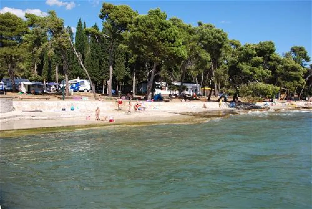 Camping Pineta