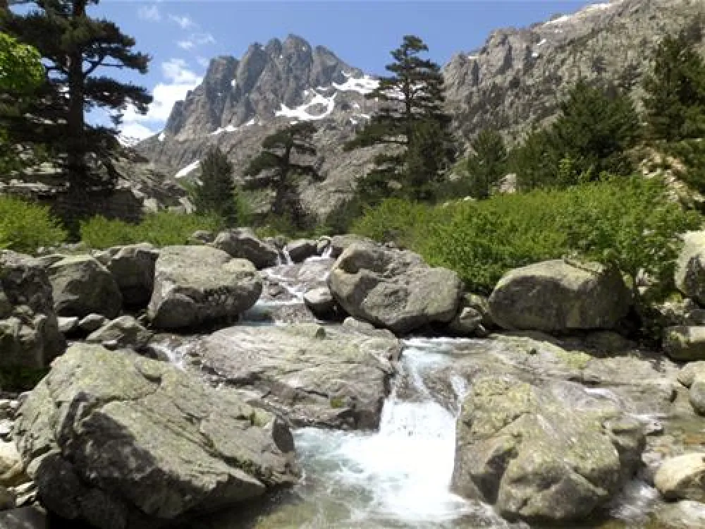 Camping aire naturelle de U Sognu