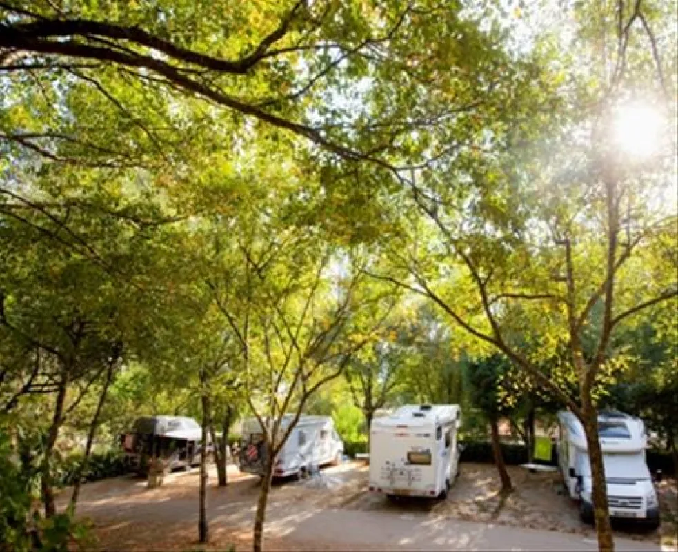 Camping las Cancelas