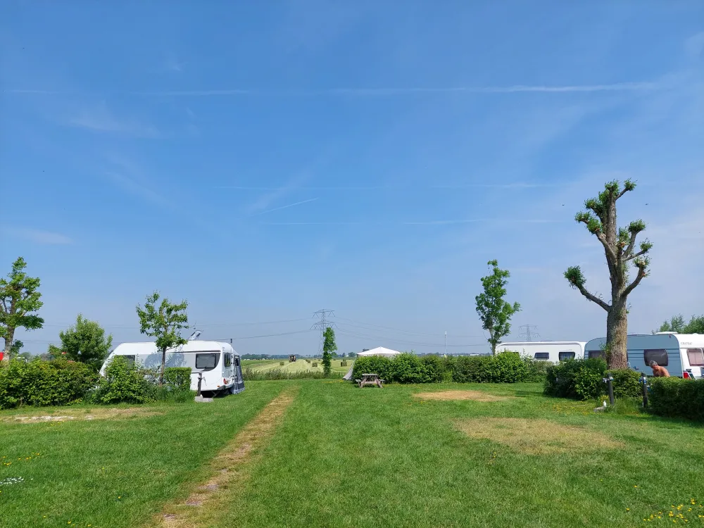 Boerderij Hazenveld minicamping/B&B***