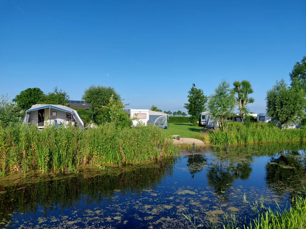 Boerderij Hazenveld minicamping/B&B***