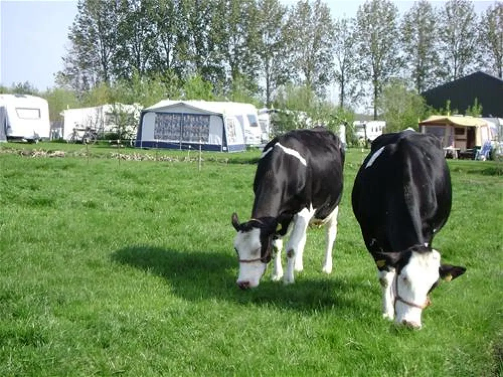 Boerderij Hazenveld minicamping/B&B***