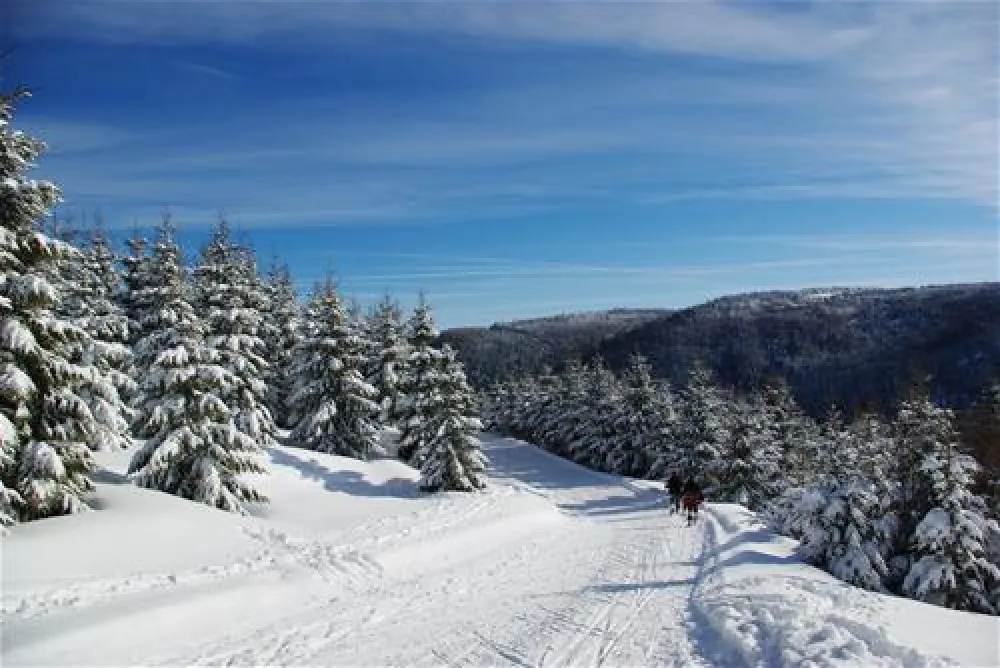Camping de Belle Hutte  