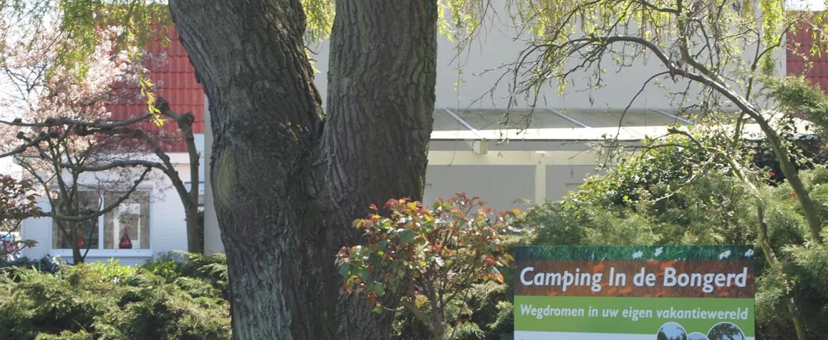 Camping In de Bongerd