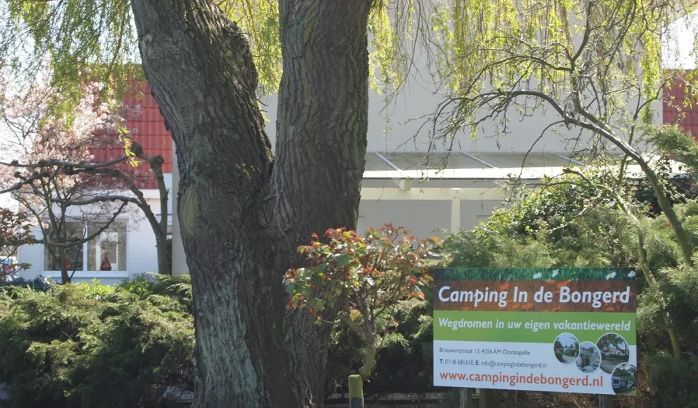 Camping In de Bongerd