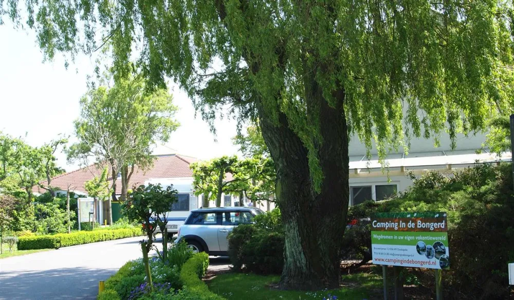 Camping In de Bongerd