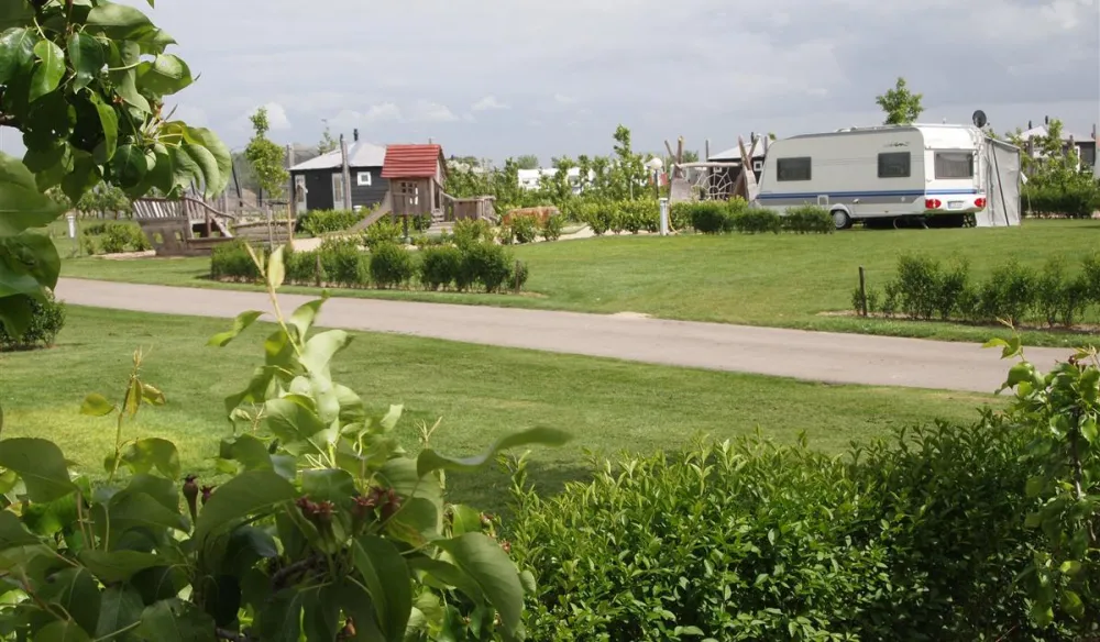 Camping In de Bongerd