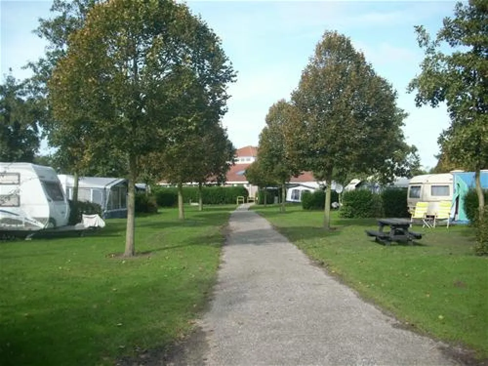 Camping In de Bongerd