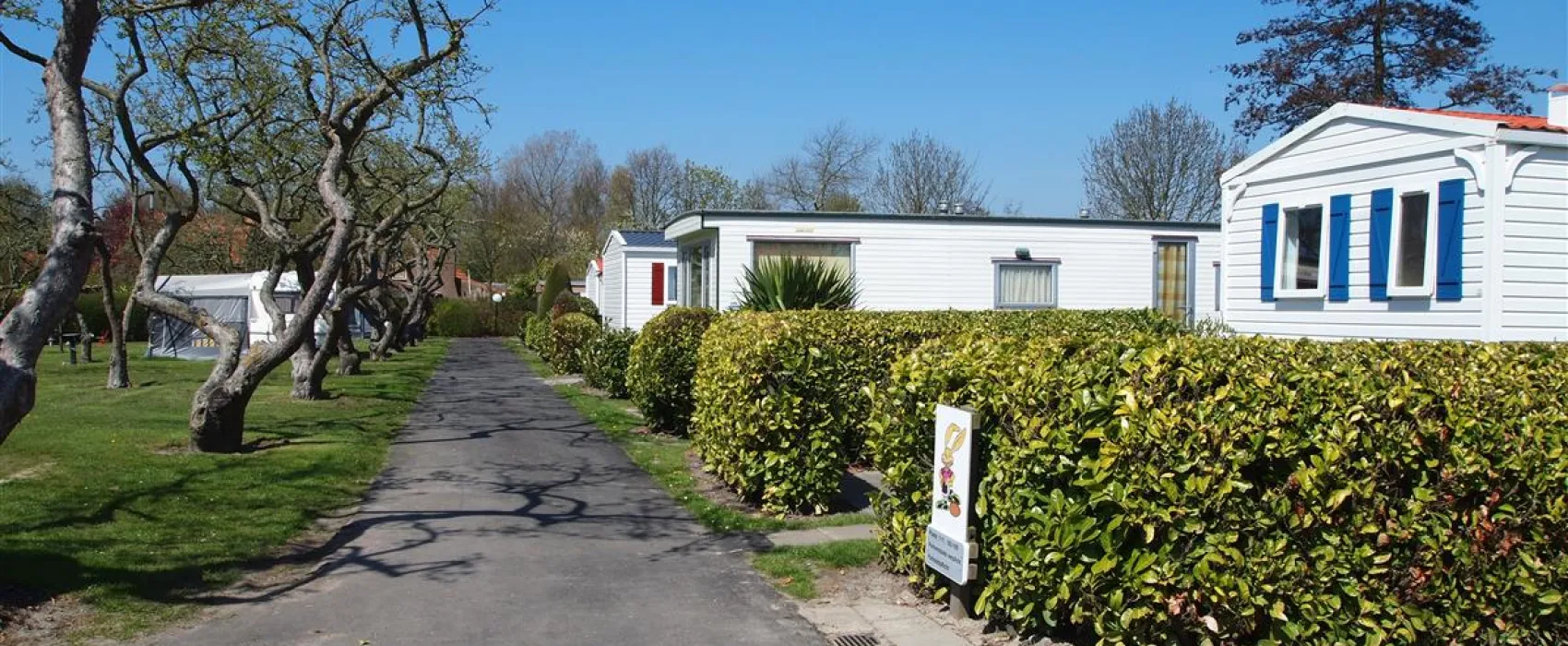 Camping In de Bongerd