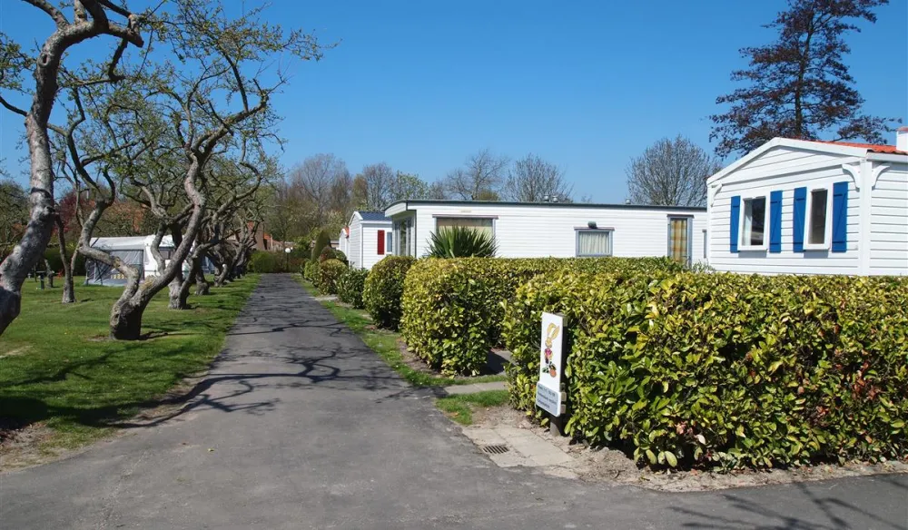 Camping In de Bongerd