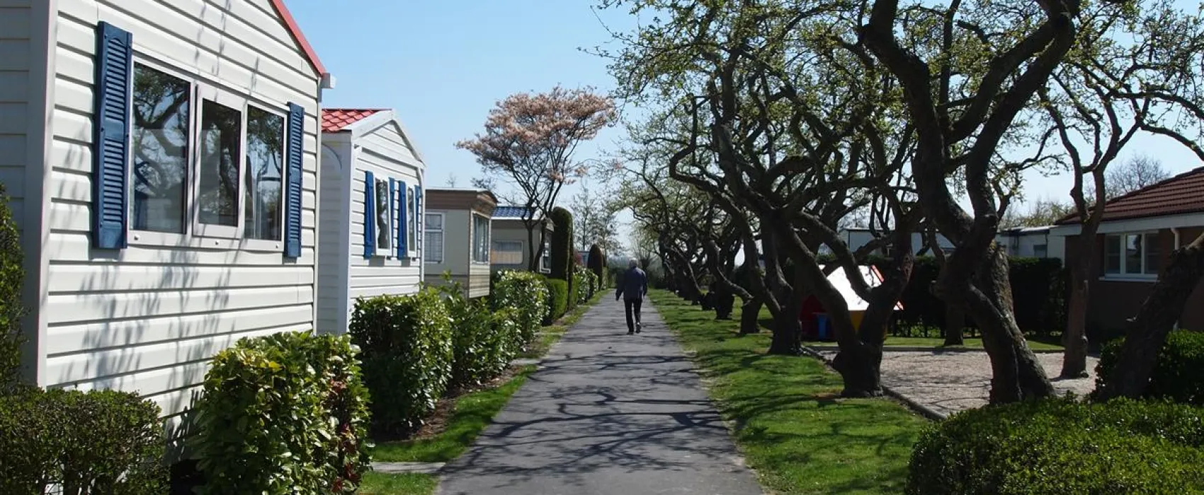 Camping In de Bongerd