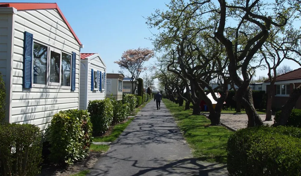 Camping In de Bongerd