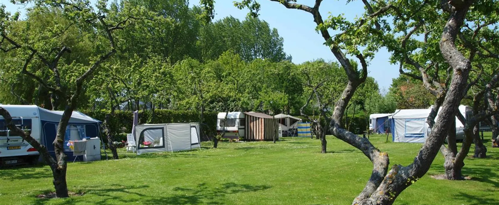 Camping In de Bongerd