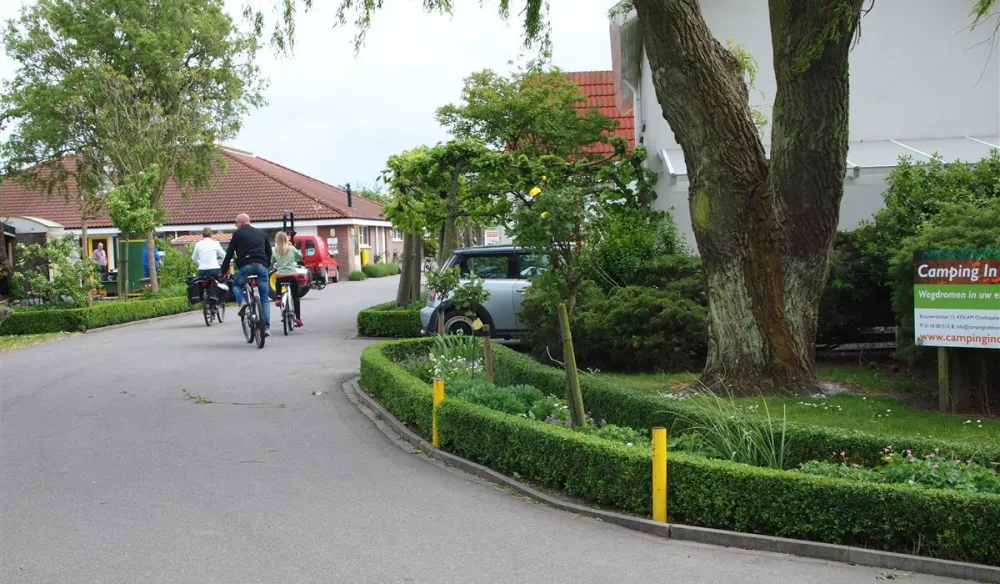 Camping In de Bongerd