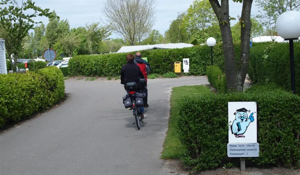 Camping In de Bongerd