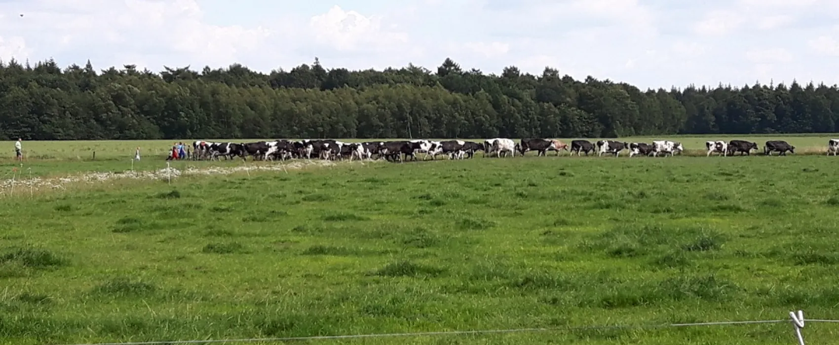 Boerderij Camping 't Looveld