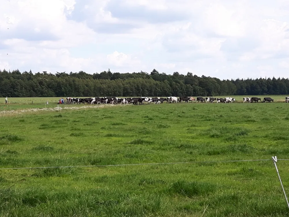Boerderij Camping 't Looveld