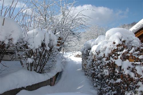 Camping Litzelau - Photo 2