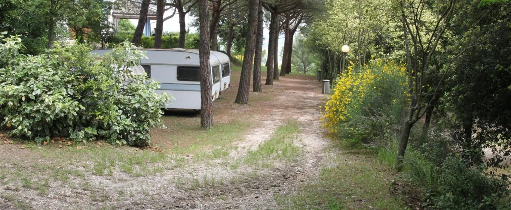 Camping- Village Mar y Sierra