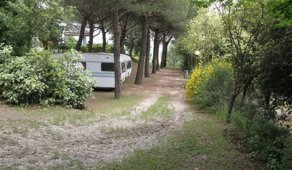 Camping- Village Mar y Sierra