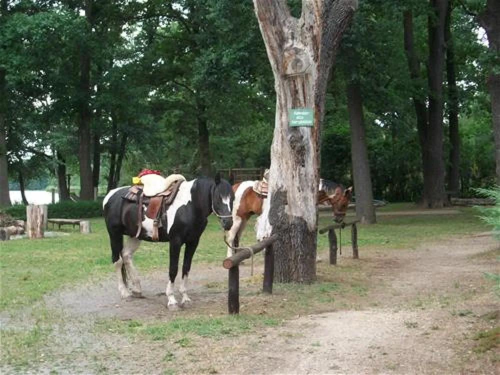 Campingpark & Wohnmobilhafen Am Gr. Lausiger Teich