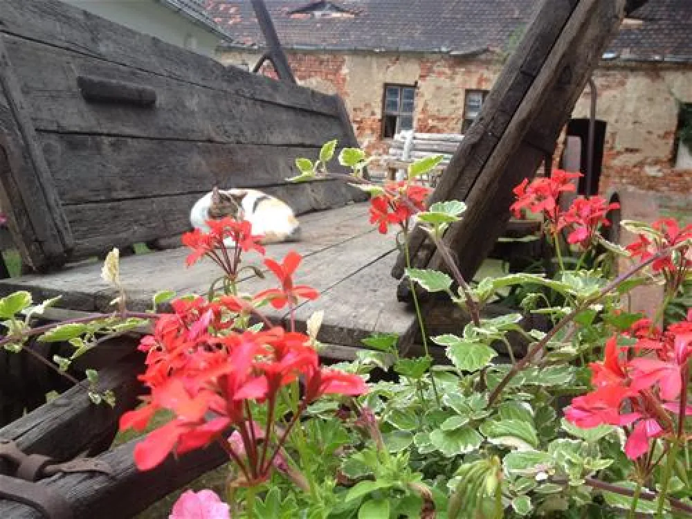 Campingpark & Wohnmobilhafen Am Gr. Lausiger Teich