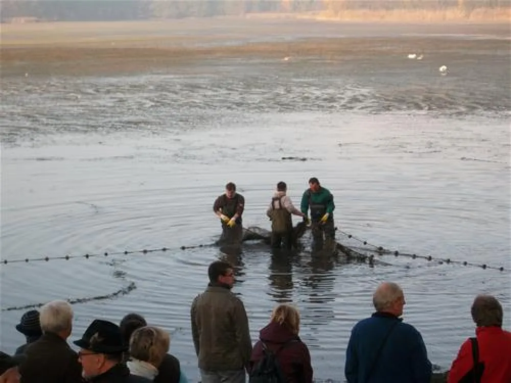 Campingpark & Wohnmobilhafen Am Gr. Lausiger Teich