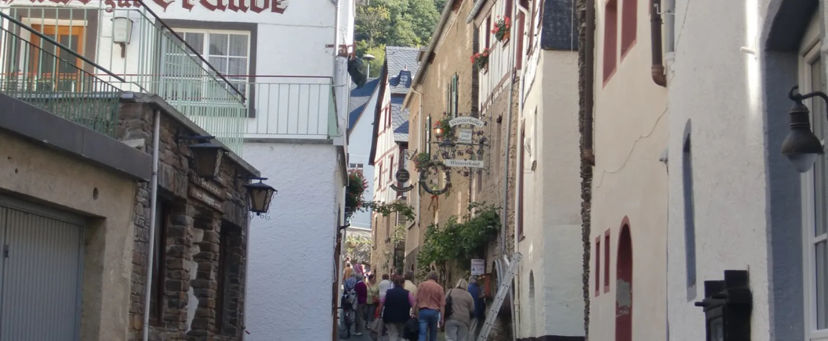 Mosel Camping Cochem