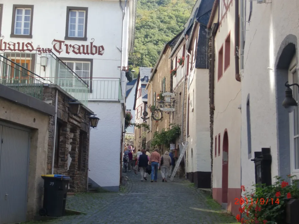 Mosel Camping Cochem