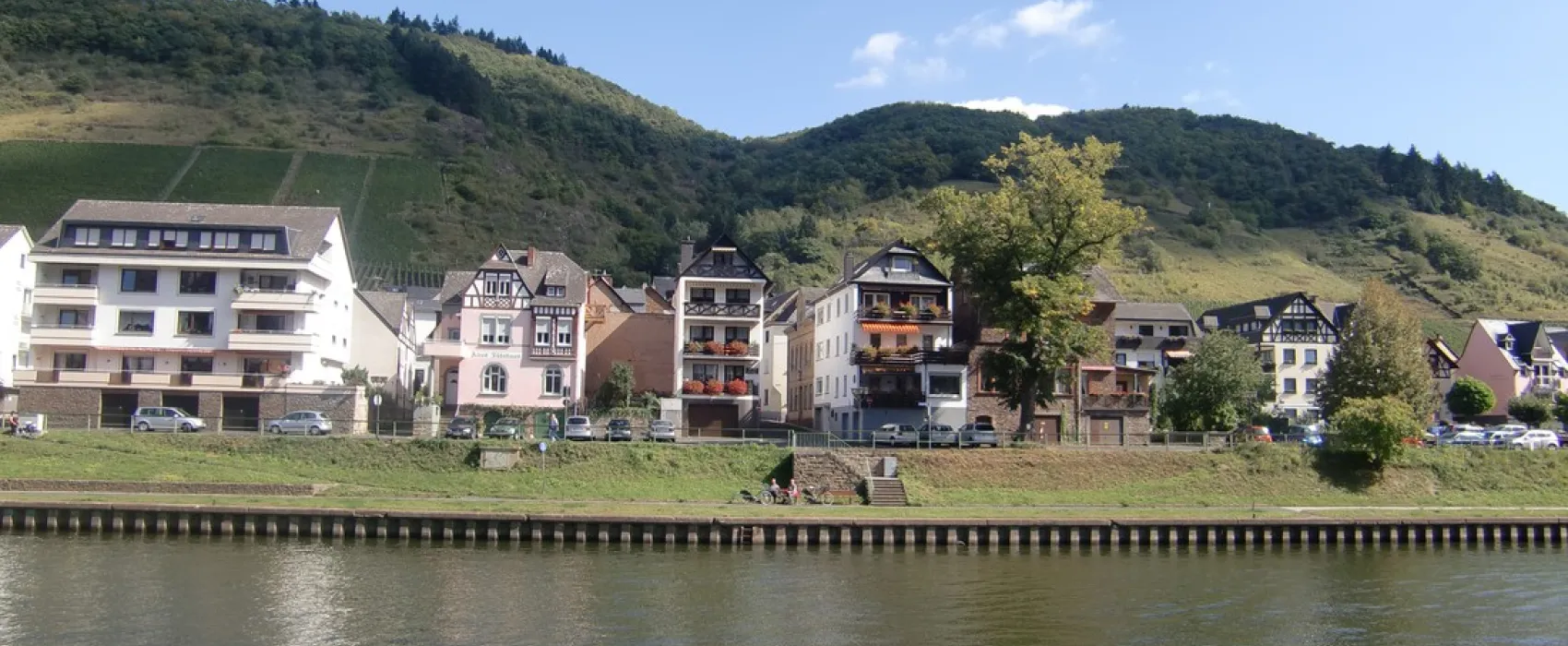 Mosel Camping Cochem