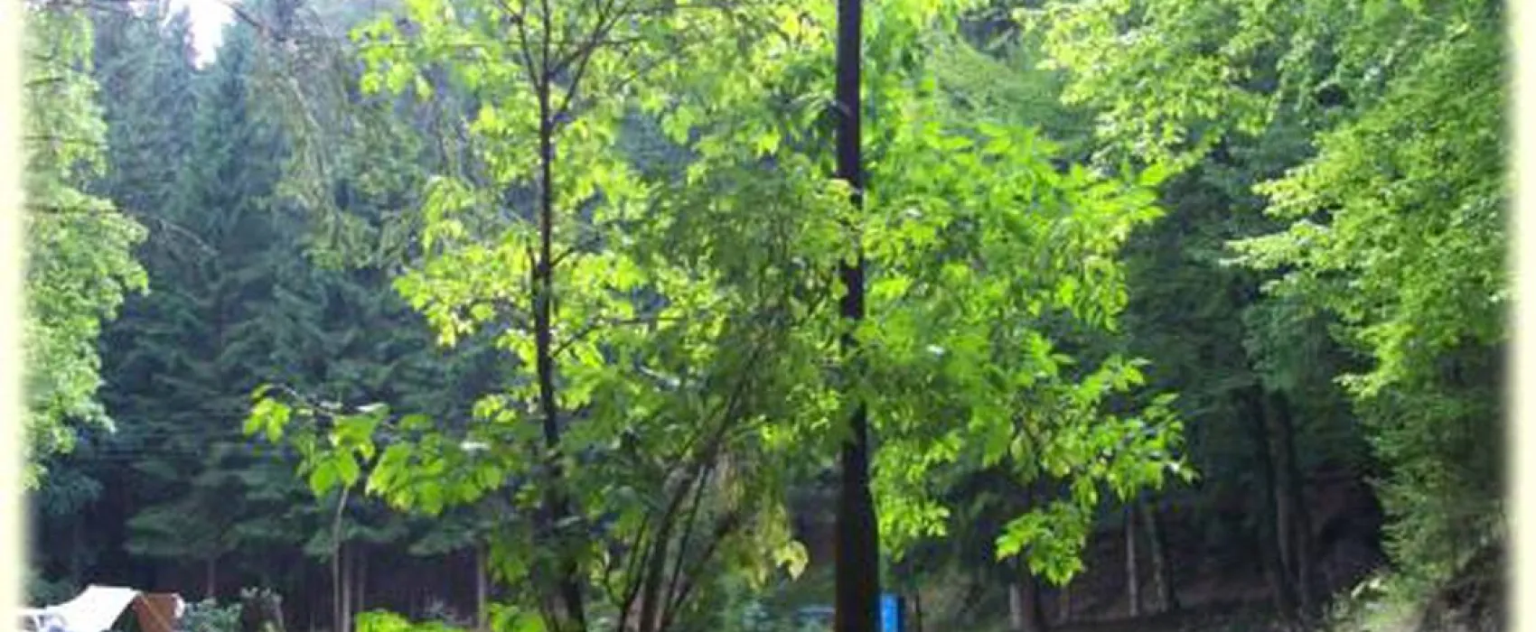 Campingplatz Dürrenbach