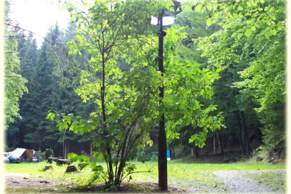 Campingplatz Dürrenbach