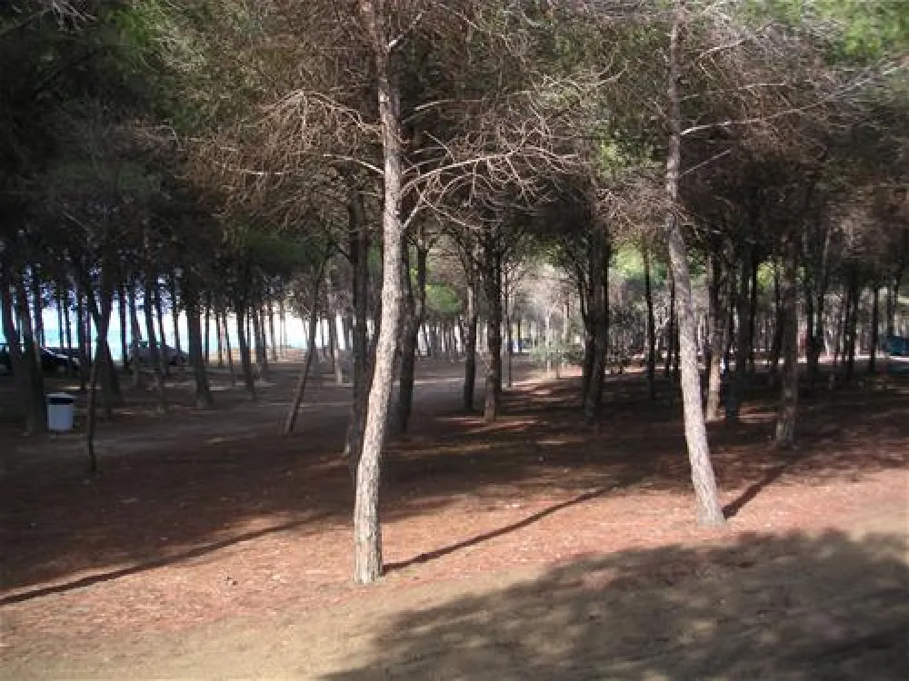 Campeggio Eraclea Minoa