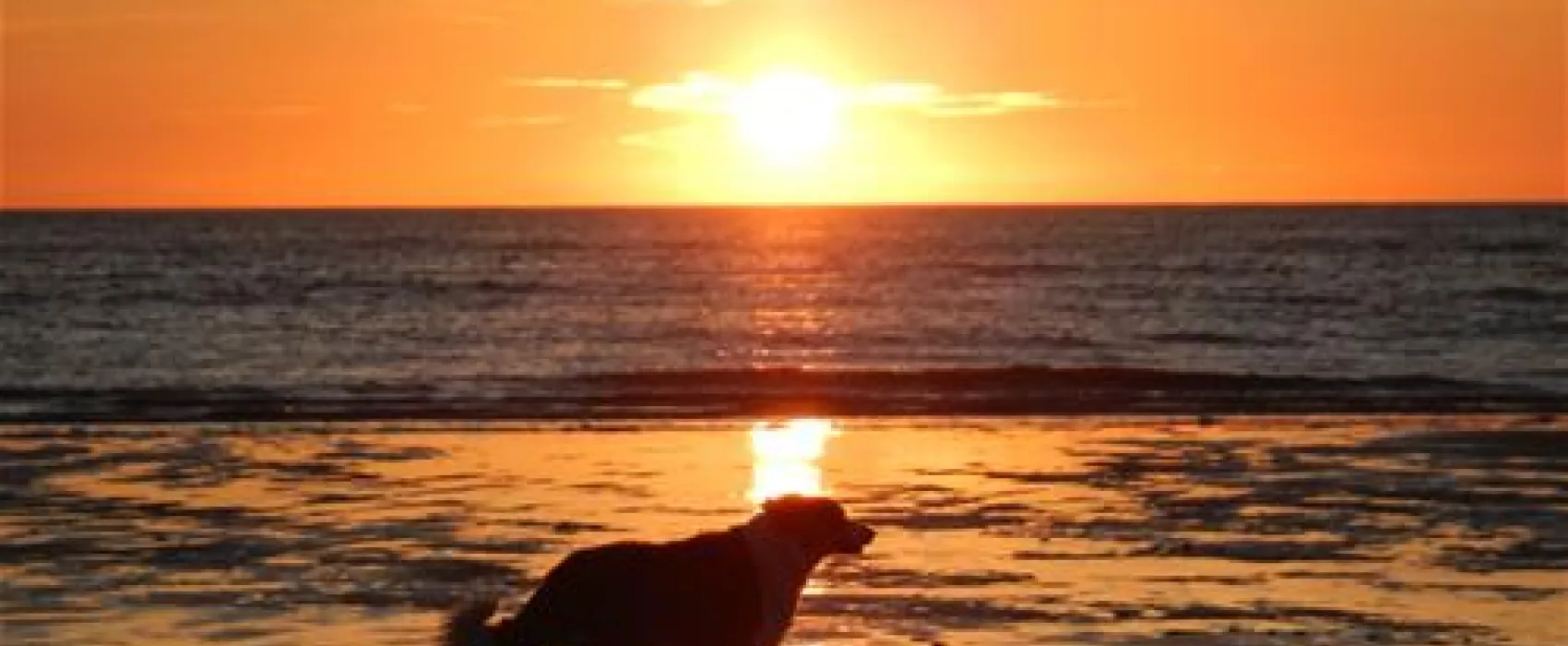 Camping Sint Maartenszee