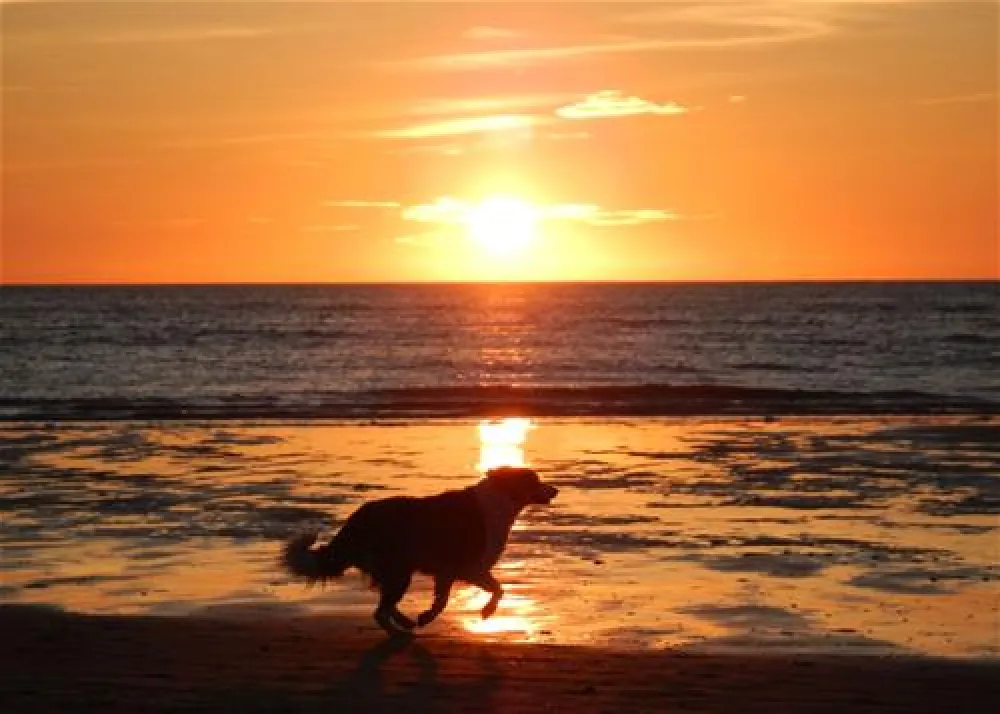 Camping Sint Maartenszee