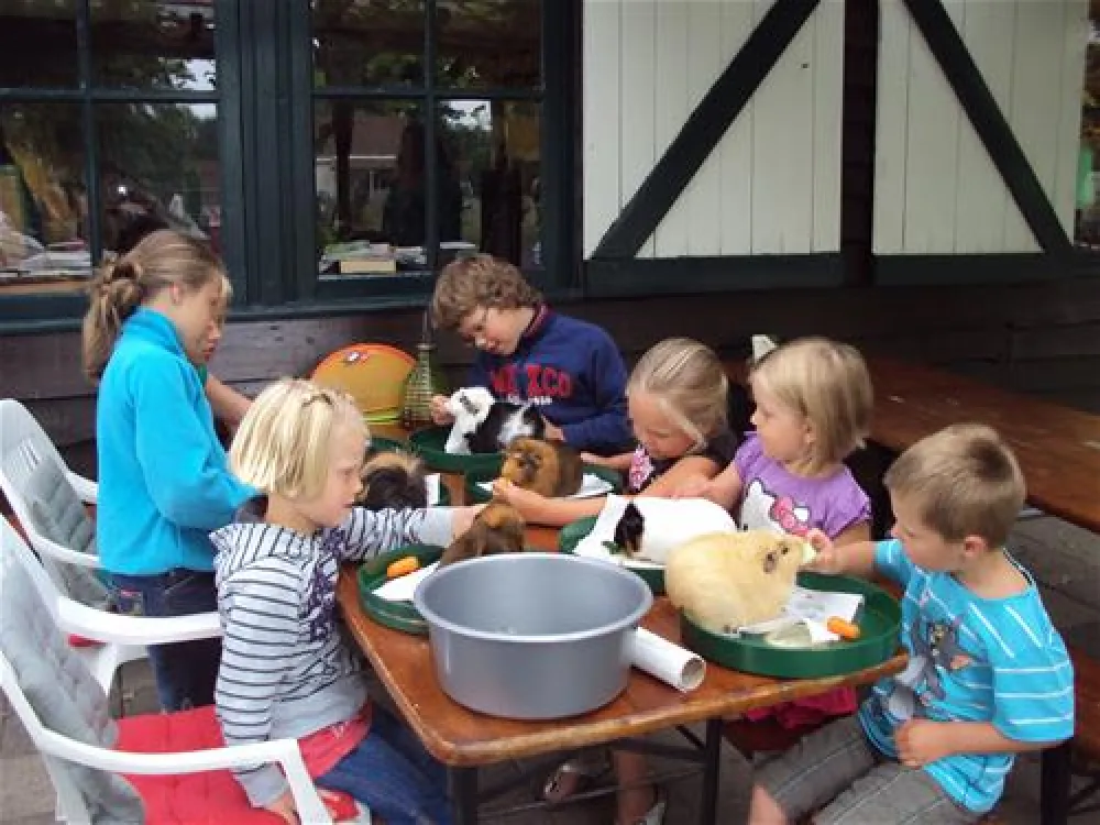 Parkcamping Mooi Delden