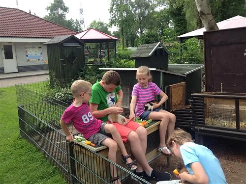 Parkcamping Mooi Delden