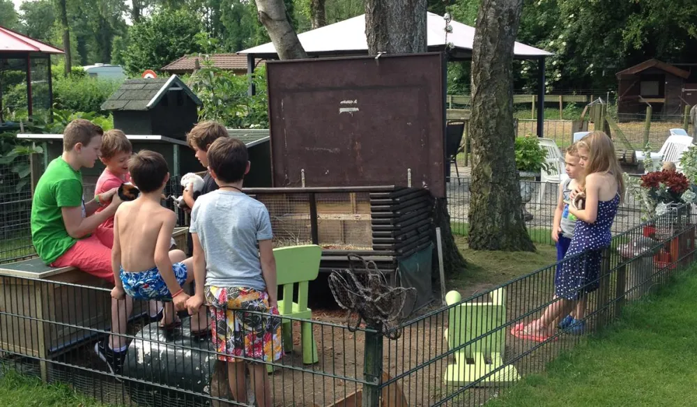 Parkcamping Mooi Delden