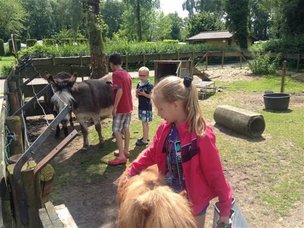 Parkcamping Mooi Delden