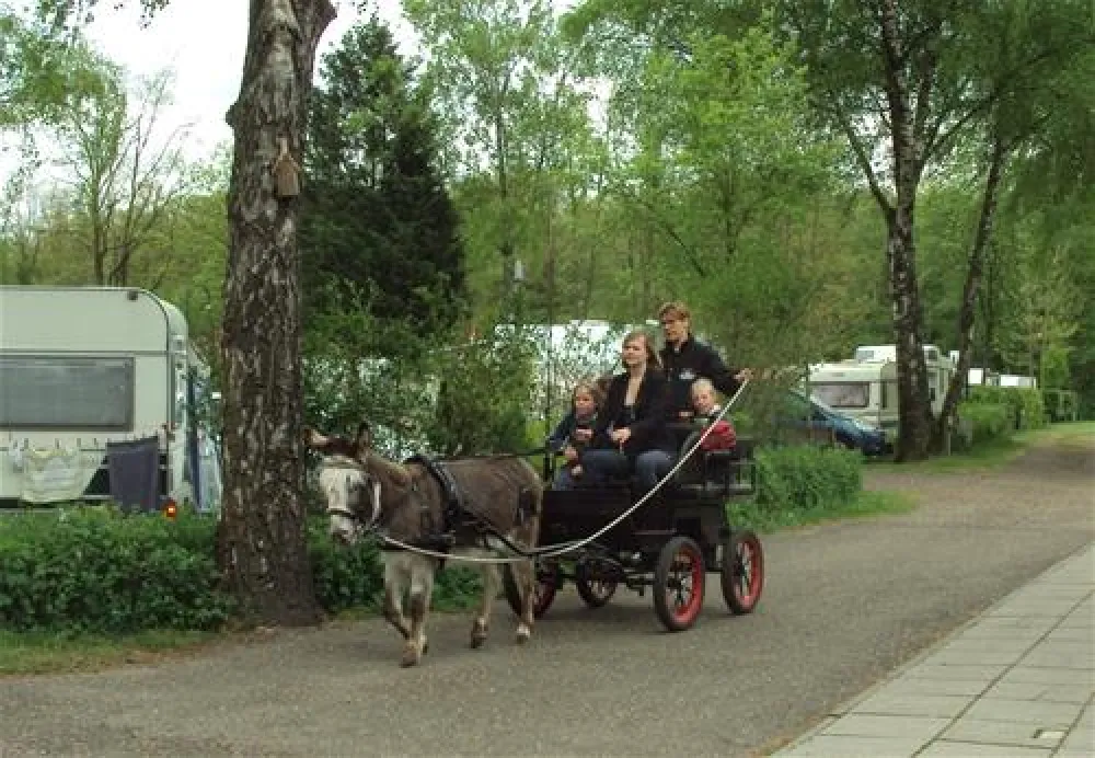 Parkcamping Mooi Delden