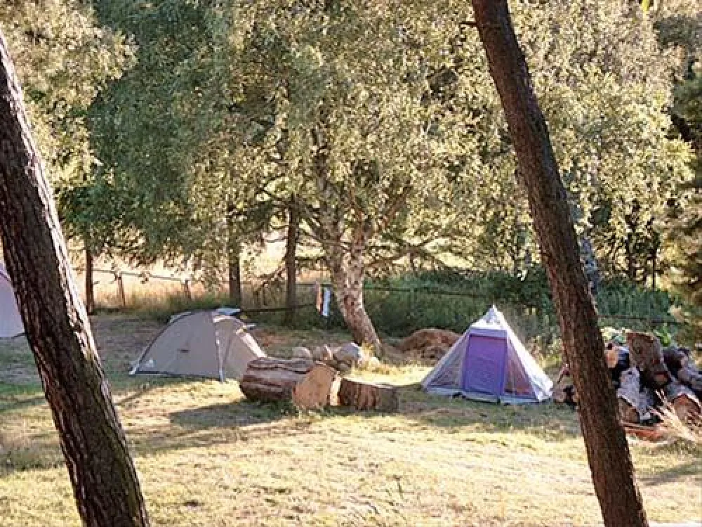 Ferienhof Birkengrund