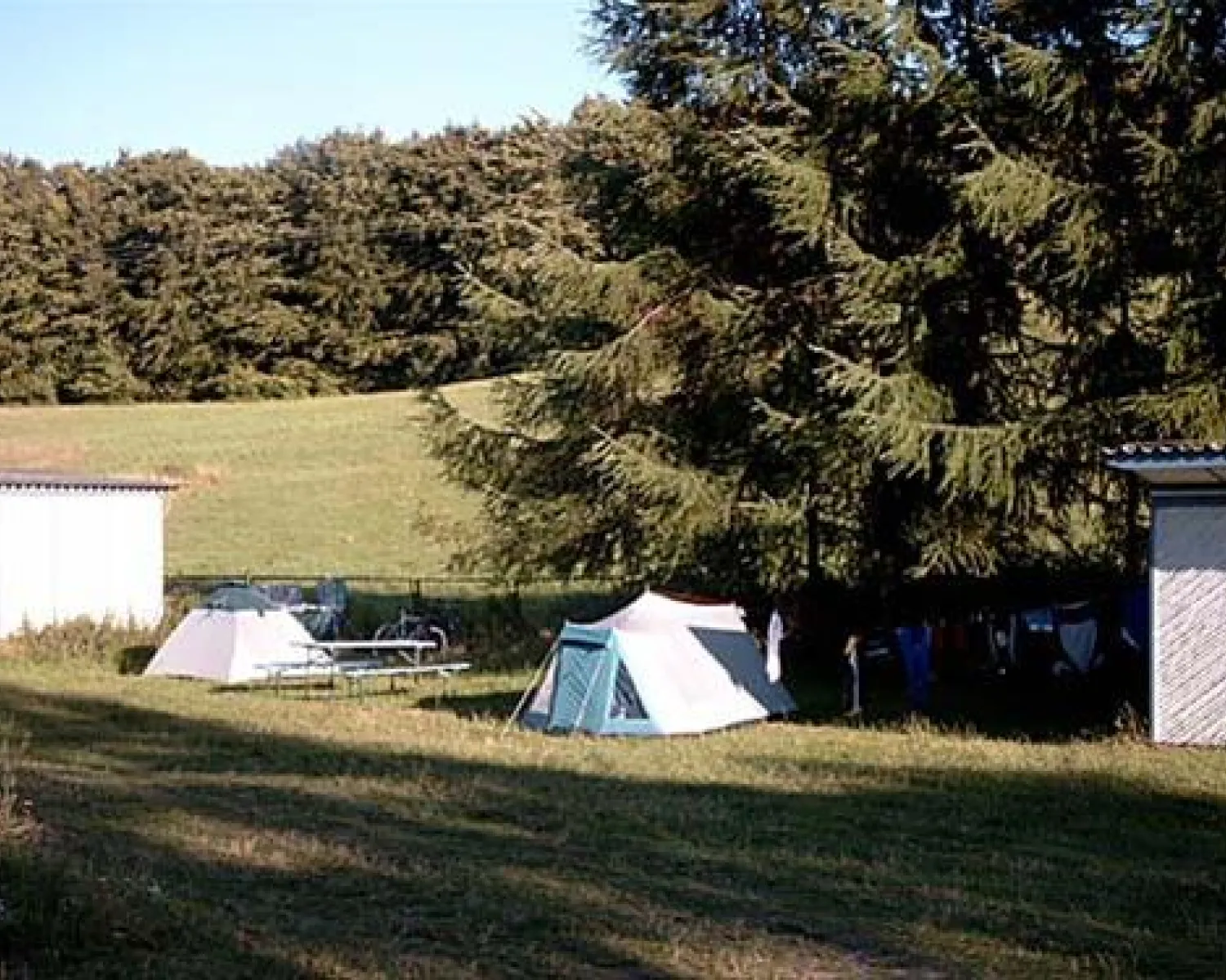 camping in a swag King Single Swag - Outback
