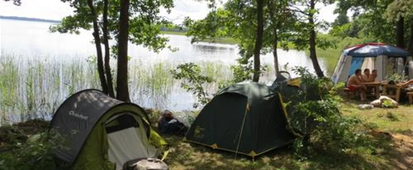 Camping "Zhizhiland"