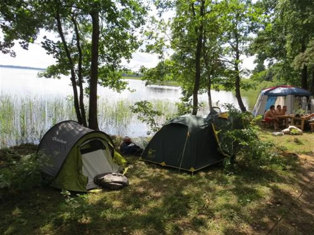 Camping "Zhizhiland"
