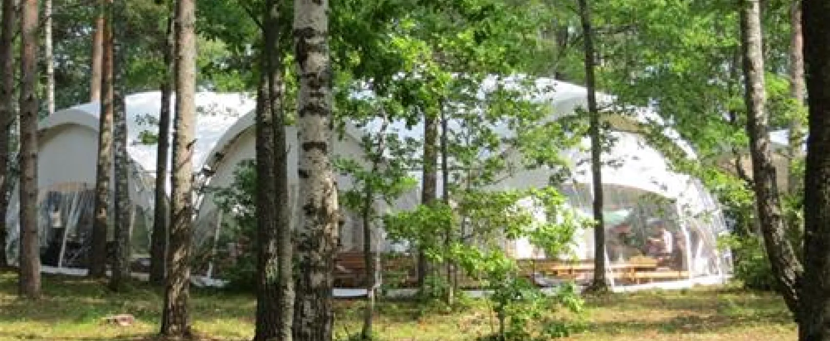 Camping "Zhizhiland"