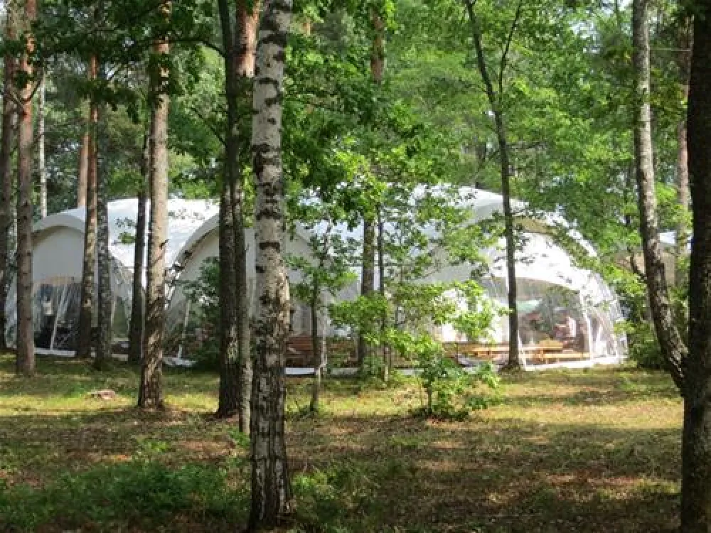 Camping "Zhizhiland"
