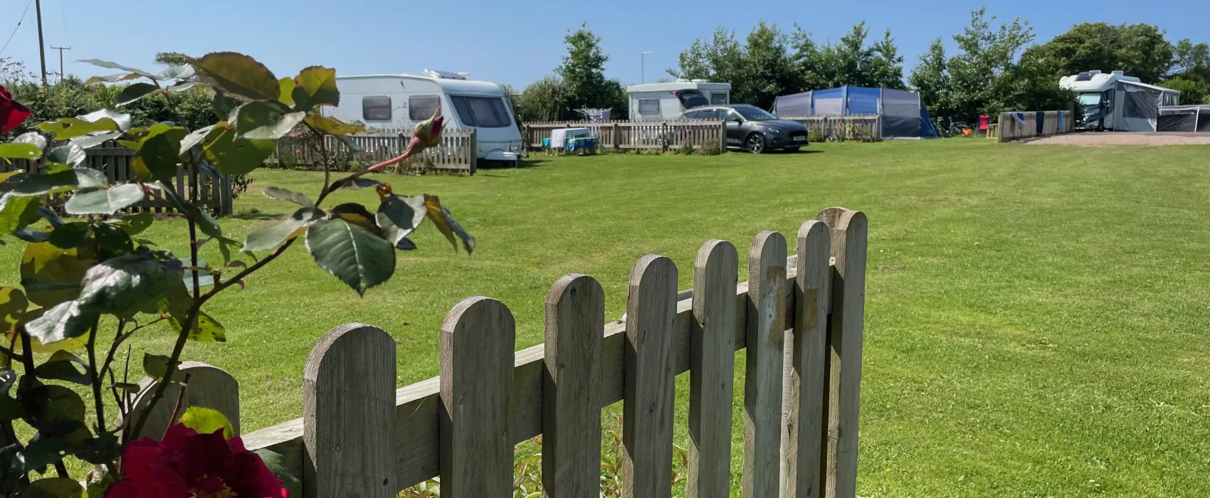 Parkland Touring, Camping & Glamping Site
